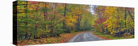 Autumn Road-Doug Cavanah-Stretched Canvas