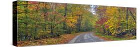 Autumn Road-Doug Cavanah-Stretched Canvas