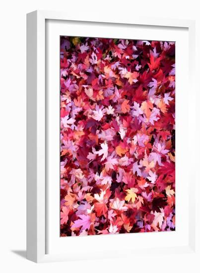 Autumn Road-Philippe Sainte-Laudy-Framed Photographic Print