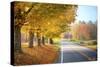 Autumn Road-5fishcreative-Stretched Canvas