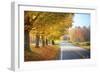 Autumn Road-5fishcreative-Framed Giclee Print