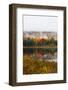 Autumn Roadside Pond - Maine Early Fall-Vincent James-Framed Photographic Print