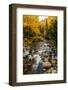 Autumn Roadside Stream - Maine Early Fall-Vincent James-Framed Photographic Print