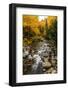 Autumn Roadside Stream - Maine Early Fall-Vincent James-Framed Photographic Print