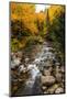 Autumn Roadside Stream - Maine Early Fall-Vincent James-Mounted Photographic Print