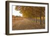 Autumn Rows-Lance Kuehne-Framed Photographic Print