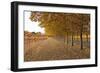 Autumn Rows-Lance Kuehne-Framed Photographic Print