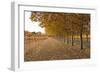 Autumn Rows-Lance Kuehne-Framed Photographic Print