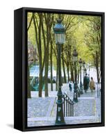 Autumn, Rue De Foyatier Steps to the Place Du Sacre Coeur, Montmartre, Paris, France-Walter Bibikow-Framed Stretched Canvas