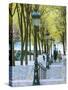 Autumn, Rue De Foyatier Steps to the Place Du Sacre Coeur, Montmartre, Paris, France-Walter Bibikow-Stretched Canvas