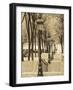 Autumn, Rue De Foyatier Steps to the Place Du Sacre Coeur, Montmartre, Paris, France-Walter Bibikow-Framed Photographic Print