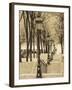 Autumn, Rue De Foyatier Steps to the Place Du Sacre Coeur, Montmartre, Paris, France-Walter Bibikow-Framed Photographic Print