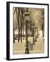 Autumn, Rue De Foyatier Steps to the Place Du Sacre Coeur, Montmartre, Paris, France-Walter Bibikow-Framed Photographic Print