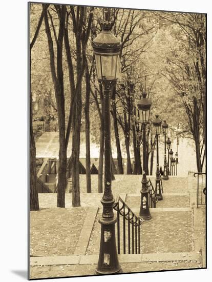 Autumn, Rue De Foyatier Steps to the Place Du Sacre Coeur, Montmartre, Paris, France-Walter Bibikow-Mounted Photographic Print