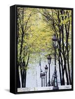 Autumn, Rue De Foyatier Steps to the Place Du Sacre Coeur, Montmartre, Paris, France-Walter Bibikow-Framed Stretched Canvas