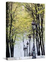 Autumn, Rue De Foyatier Steps to the Place Du Sacre Coeur, Montmartre, Paris, France-Walter Bibikow-Stretched Canvas