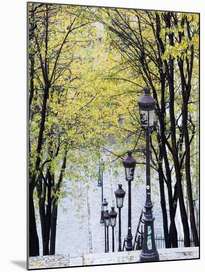 Autumn, Rue De Foyatier Steps to the Place Du Sacre Coeur, Montmartre, Paris, France-Walter Bibikow-Mounted Photographic Print