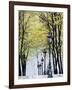 Autumn, Rue De Foyatier Steps to the Place Du Sacre Coeur, Montmartre, Paris, France-Walter Bibikow-Framed Photographic Print