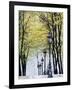 Autumn, Rue De Foyatier Steps to the Place Du Sacre Coeur, Montmartre, Paris, France-Walter Bibikow-Framed Photographic Print