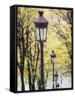 Autumn, Rue De Foyatier Steps to the Place Du Sacre Coeur, Montmartre, Paris, France-Walter Bibikow-Framed Stretched Canvas