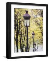 Autumn, Rue De Foyatier Steps to the Place Du Sacre Coeur, Montmartre, Paris, France-Walter Bibikow-Framed Photographic Print