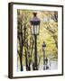 Autumn, Rue De Foyatier Steps to the Place Du Sacre Coeur, Montmartre, Paris, France-Walter Bibikow-Framed Photographic Print