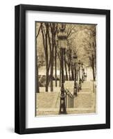 Autumn, Rue De Foyatier Steps to the Place Du Sacre Coeur, Montmartre, Paris, France-Walter Bibikow-Framed Photographic Print