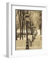 Autumn, Rue De Foyatier Steps to the Place Du Sacre Coeur, Montmartre, Paris, France-Walter Bibikow-Framed Photographic Print