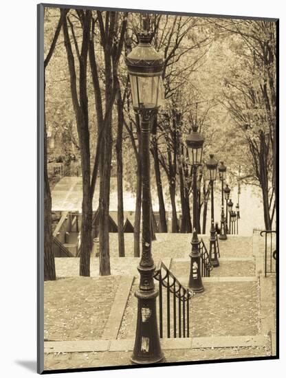 Autumn, Rue De Foyatier Steps to the Place Du Sacre Coeur, Montmartre, Paris, France-Walter Bibikow-Mounted Photographic Print