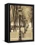 Autumn, Rue De Foyatier Steps to the Place Du Sacre Coeur, Montmartre, Paris, France-Walter Bibikow-Framed Stretched Canvas