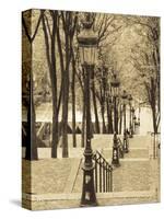 Autumn, Rue De Foyatier Steps to the Place Du Sacre Coeur, Montmartre, Paris, France-Walter Bibikow-Stretched Canvas
