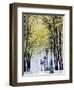 Autumn, Rue De Foyatier Steps to the Place Du Sacre Coeur, Montmartre, Paris, France-Walter Bibikow-Framed Photographic Print