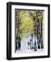 Autumn, Rue De Foyatier Steps to the Place Du Sacre Coeur, Montmartre, Paris, France-Walter Bibikow-Framed Photographic Print