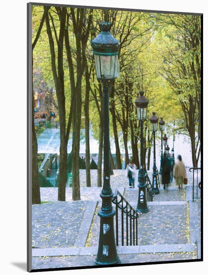 Autumn, Rue De Foyatier Steps to the Place Du Sacre Coeur, Montmartre, Paris, France-Walter Bibikow-Mounted Photographic Print