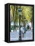 Autumn, Rue De Foyatier Steps to the Place Du Sacre Coeur, Montmartre, Paris, France-Walter Bibikow-Framed Stretched Canvas