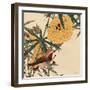 Autumn's Bounty 11-Stellar Design Studio-Framed Art Print