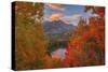 Autumn's Breath-Darren White Photography-Stretched Canvas