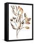 Autumn's Bundle I-Jennifer Goldberger-Framed Stretched Canvas