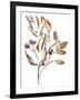 Autumn's Bundle I-Jennifer Goldberger-Framed Art Print