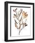 Autumn's Bundle II-Jennifer Goldberger-Framed Art Print