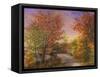 Autumn's Color of Fashion-Nicky Boehme-Framed Stretched Canvas