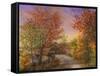 Autumn's Color of Fashion-Nicky Boehme-Framed Stretched Canvas