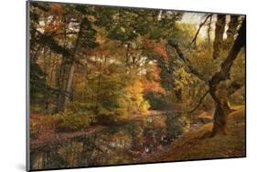 Autumn's Edge-Jessica Jenney-Mounted Giclee Print