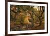 Autumn's Edge-Jessica Jenney-Framed Giclee Print