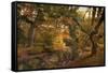 Autumn's Edge-Jessica Jenney-Framed Stretched Canvas