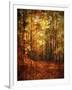 Autumn's Enchanted Forest-Christy Ann-Framed Giclee Print