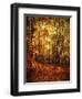 Autumn's Enchanted Forest-Christy Ann-Framed Giclee Print