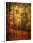 Autumn's Enchanted Forest-Christy Ann-Framed Premium Giclee Print