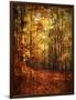 Autumn's Enchanted Forest-Christy Ann-Framed Premium Giclee Print