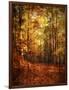 Autumn's Enchanted Forest-Christy Ann-Framed Premium Giclee Print